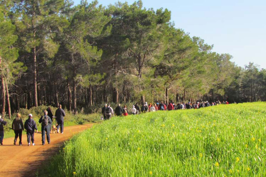 Walking Holidays in North Cyprus